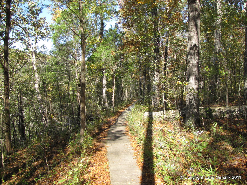 Trail at the Top of Rim Rock Trail at the Top of Rim Rock Flickr