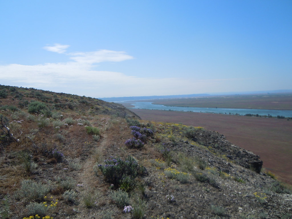 The White Bluffs along the Columbia Photo credit Carrie C… Flickr