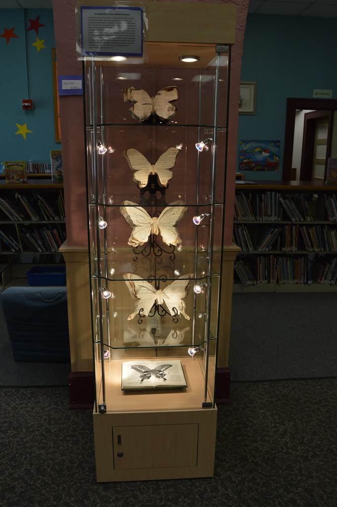 SJCPLS Hastings Branch Tour SJC Library Flickr