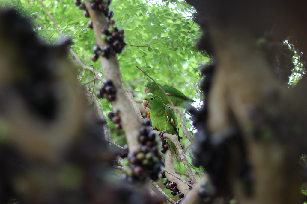 Untitled | Monica Pellegrini | Flickr