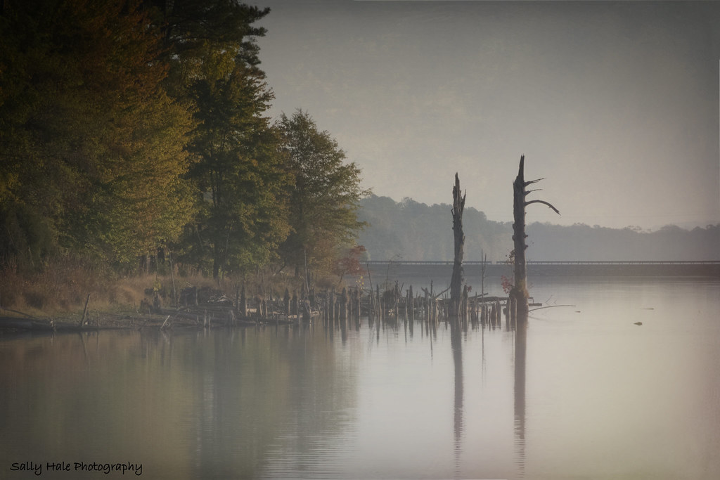 Foggy Antioch Lake HFF! Sally Hale Flickr