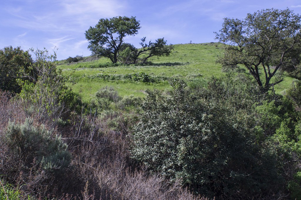 DSC07735 Green hills from the Hicks Haul Road Steve Christle Flickr