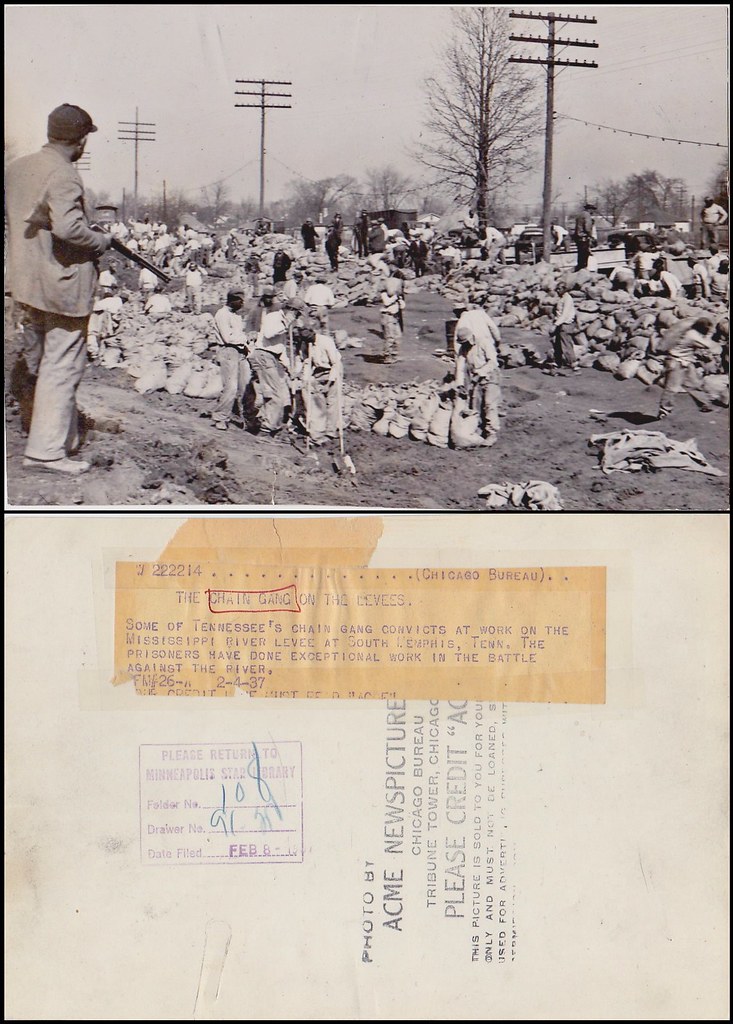 1937 photo of chain gang working on levee at Memphis durin… Flickr