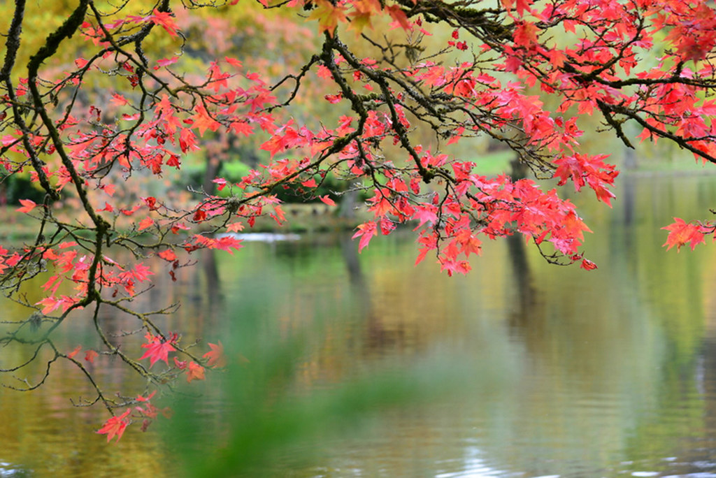 Julie Darby Autumn 4 Romsey Viewfinders Flickr