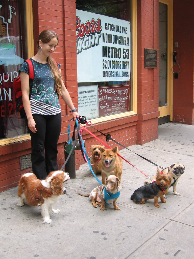 NYC Dog sitter Butal Lee Flickr