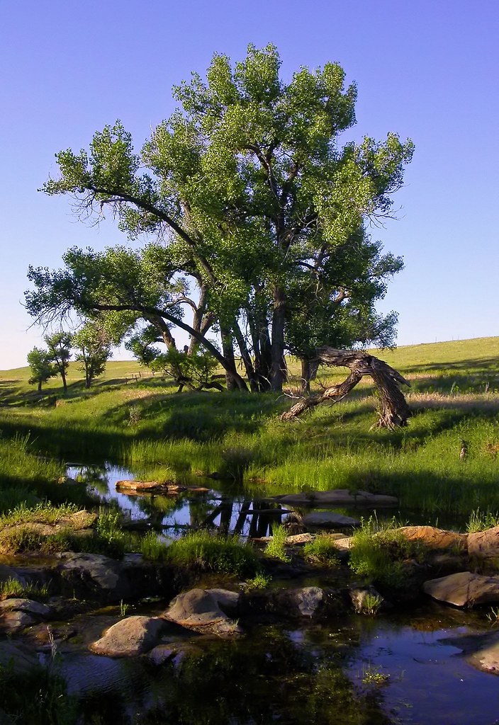 Box Elder Creek at Lowry Range This is Box Elder Creek at … Flickr