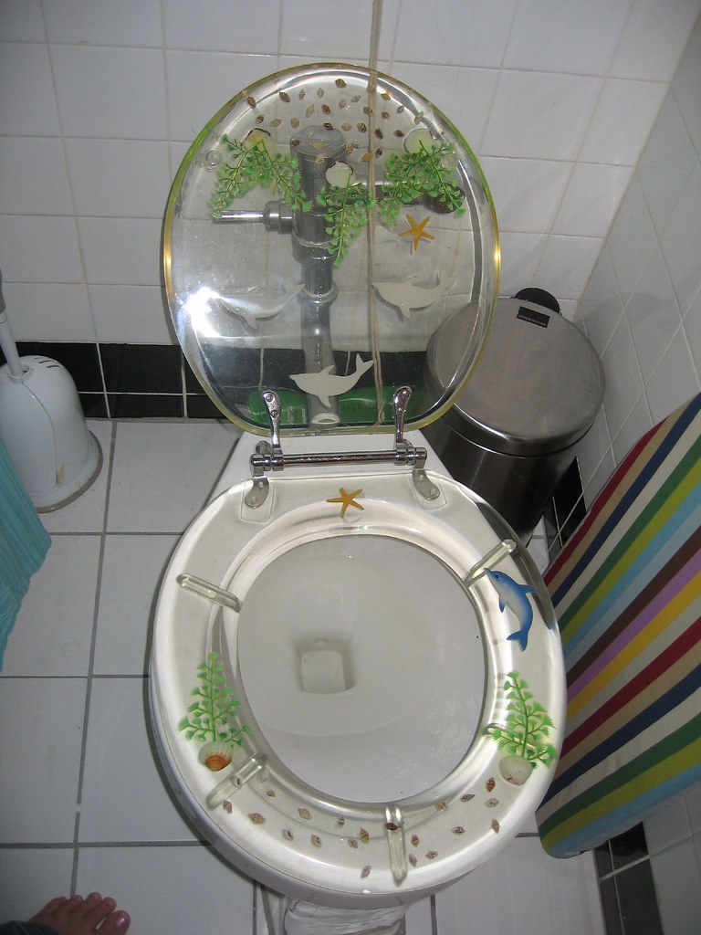 toillet seat 002 The toilet seat, lid up. PrettyKateMachine Flickr