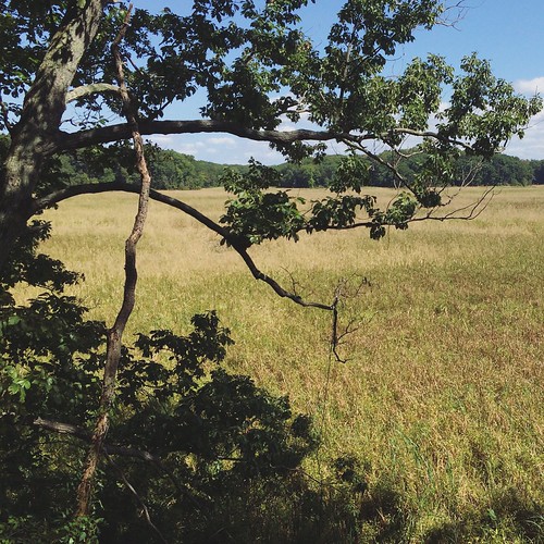 Mason Neck Wildlife Refuge, VA (Instagram peterbjork) Flickr