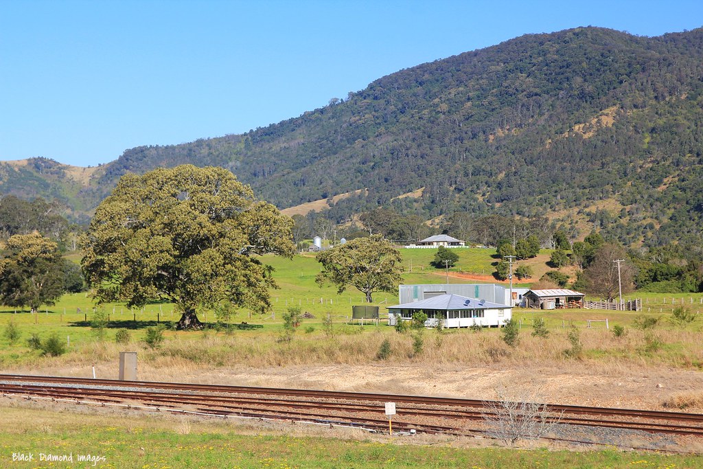 Elevation of Mount NSW, Australia Topographic Map Altitude Map