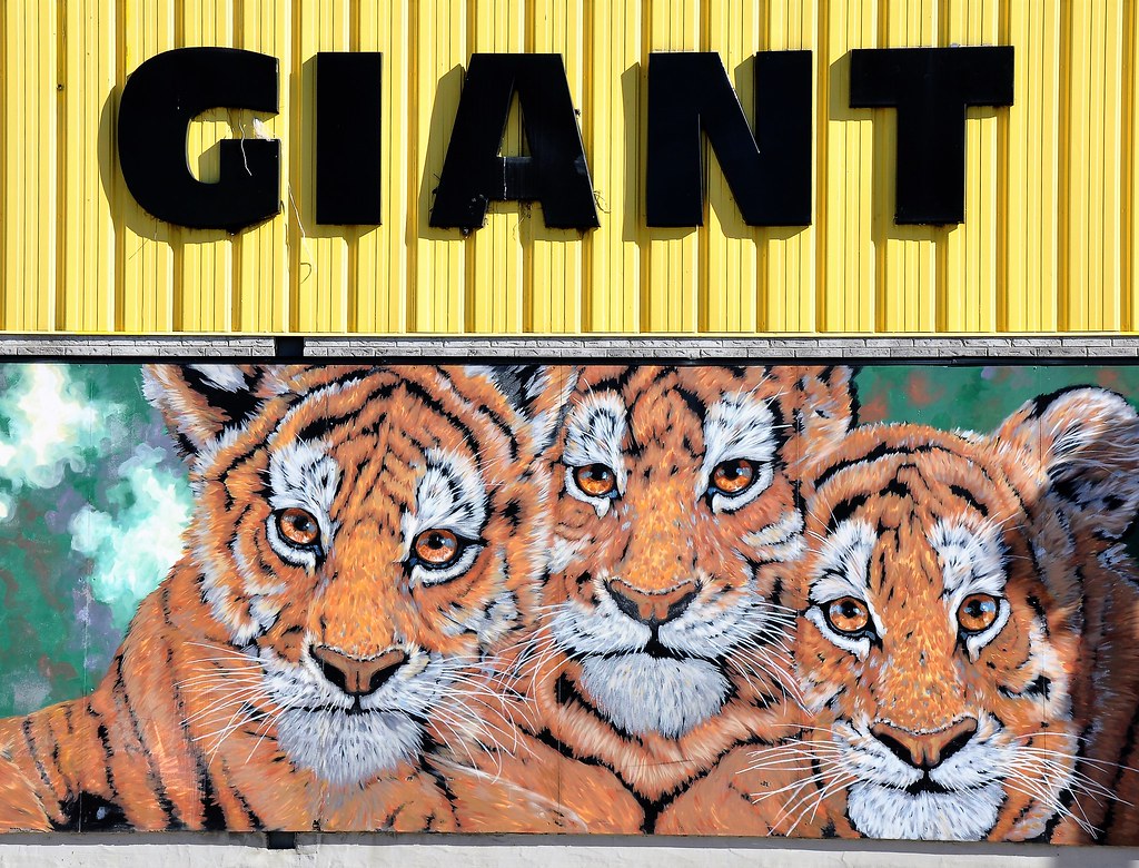 GIANT Supermarket in Listowel, Ontario, Canada Andrew Stabins Flickr