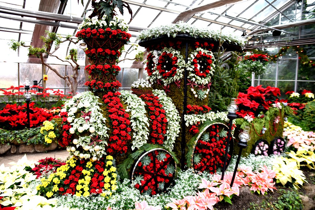 Christmas Flower Show, Centennial Park Conservatory, Toron… Flickr