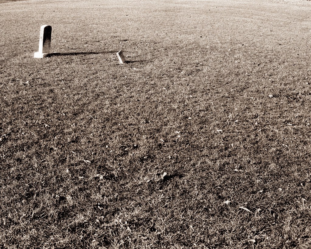 Alberta City Historic Cemetery, Tuscaloosa, Alabama 5 Alo… Flickr
