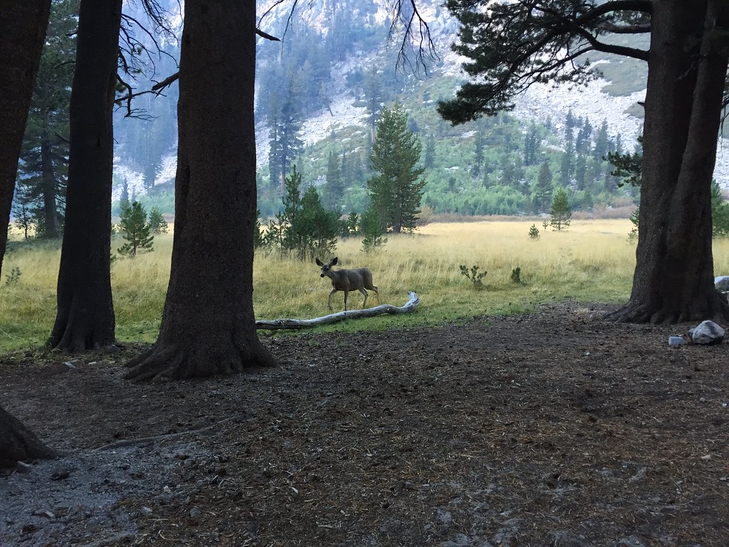 Grouse Meadow erinallday Flickr