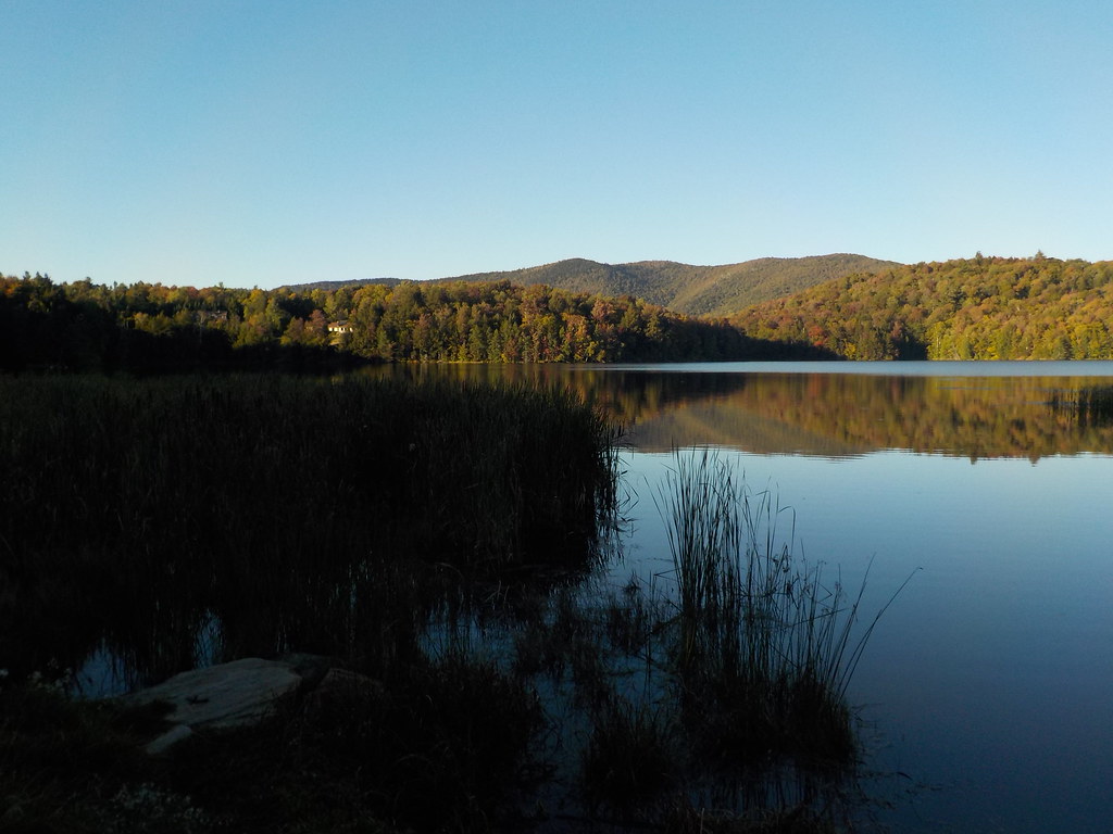 keene swap meet 2015 118 Cindi Flickr