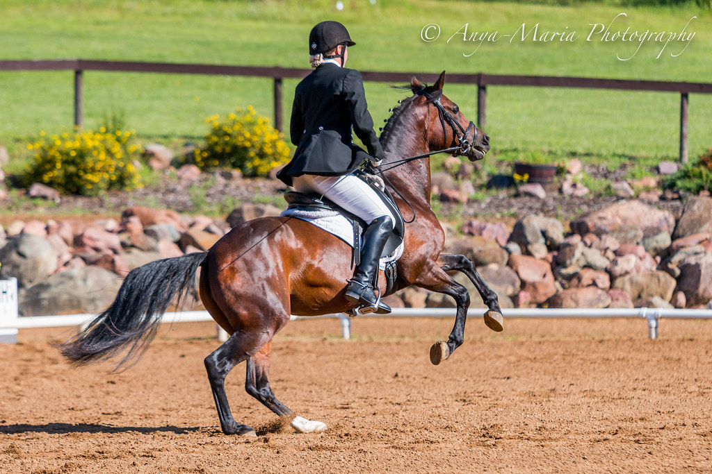 Otter Creek Dressage anyaotterson Flickr