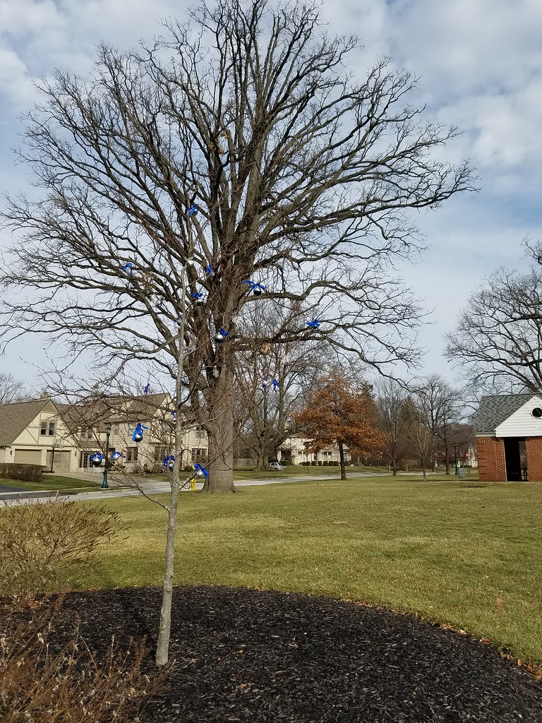 Westover Park Upper Arlington, Ohio Dan Keck Flickr