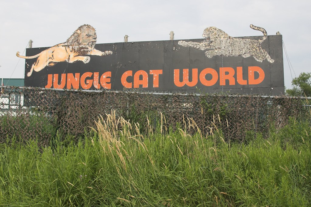 Jungle Cat World Gary J. Wood Flickr