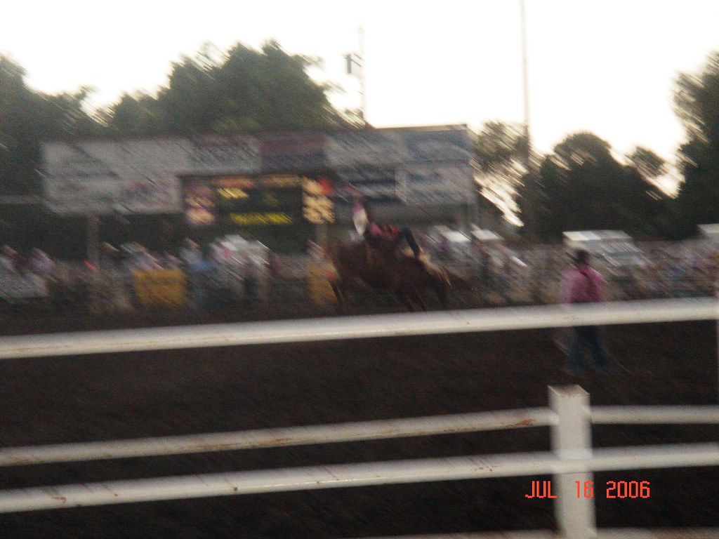 RODEO Sue's Photos Gallery Flickr