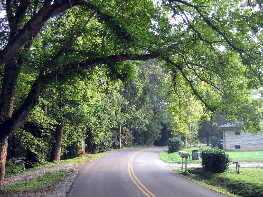 tree overhang st. albans strawberry road coal river Flickr