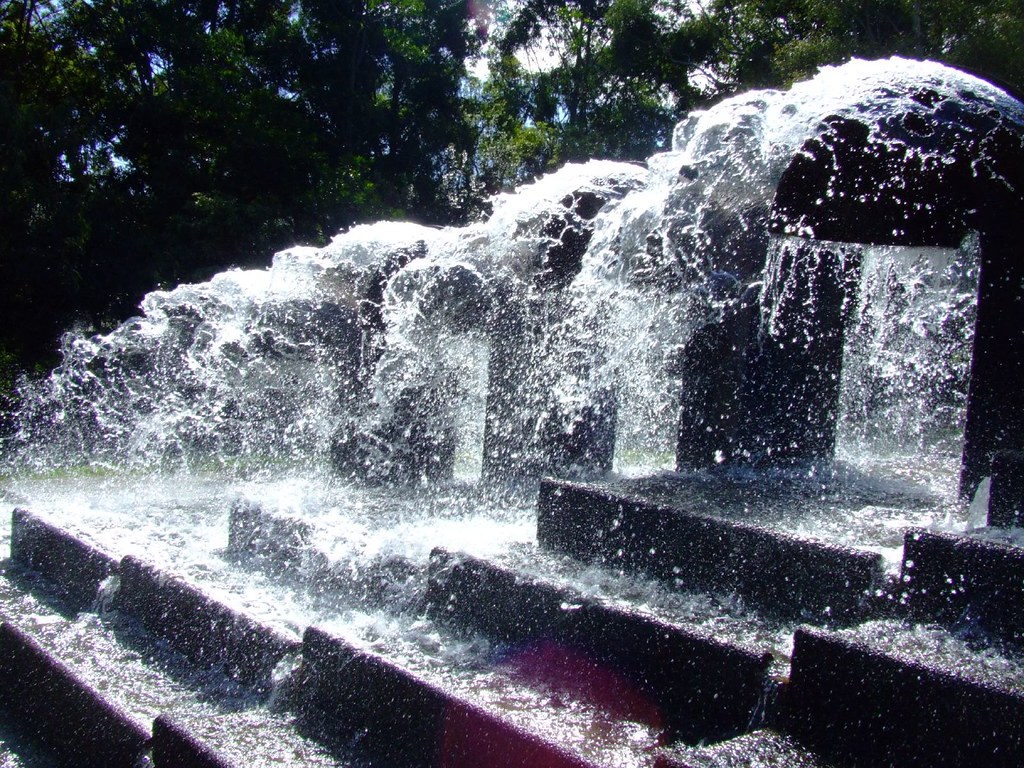 Water Feature Wollongong Botanical Gardens Vanessa PikeRussell