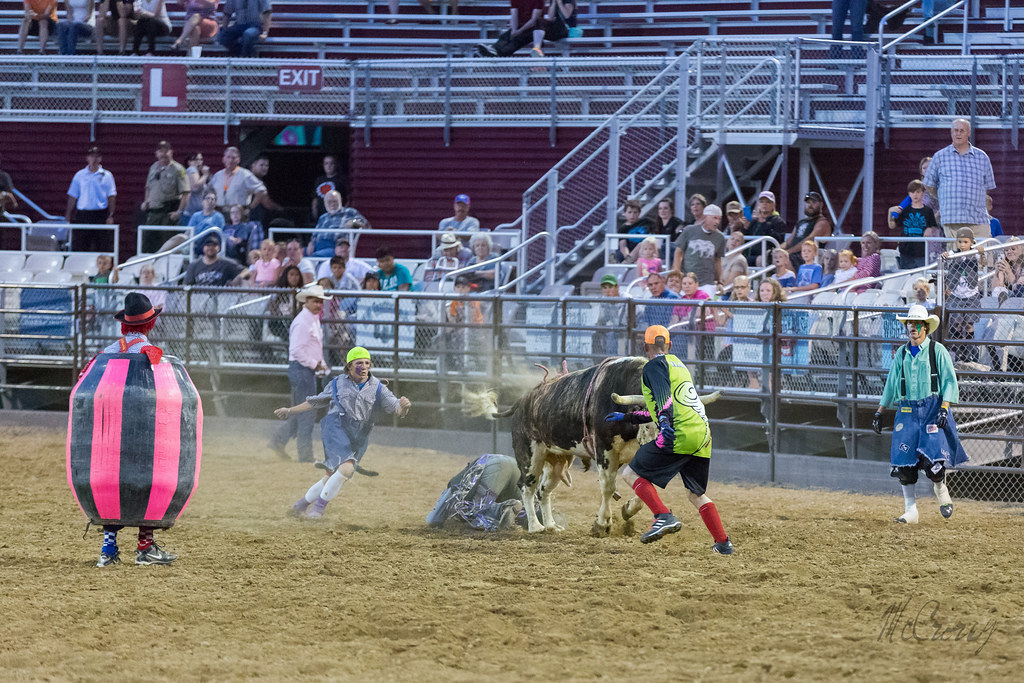 Utah County Fair Rodeo in Spanish Fork Utah Karen McCrorey Flickr