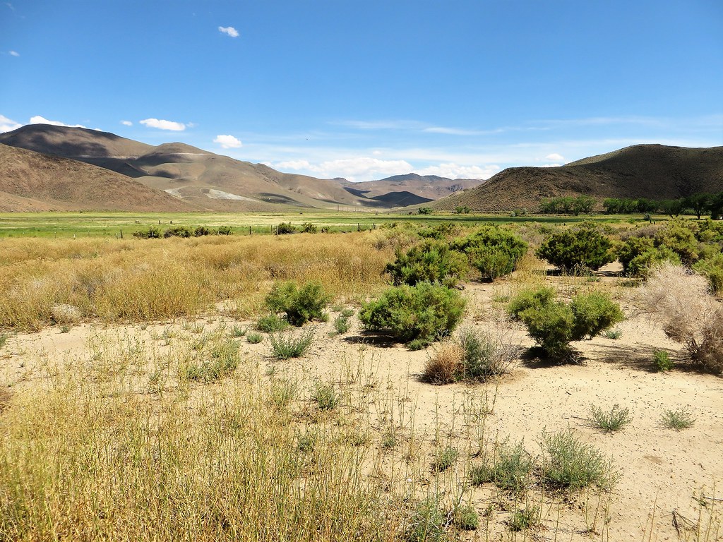 Southeast Reno, Nevada Near Donner Springs Reno is a city … Flickr