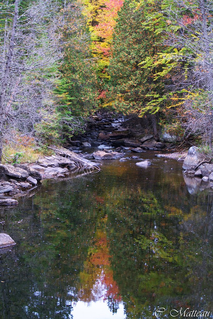 1218V Rivière Roberge, ZEC Tawachiche, Québec, Canada Claude