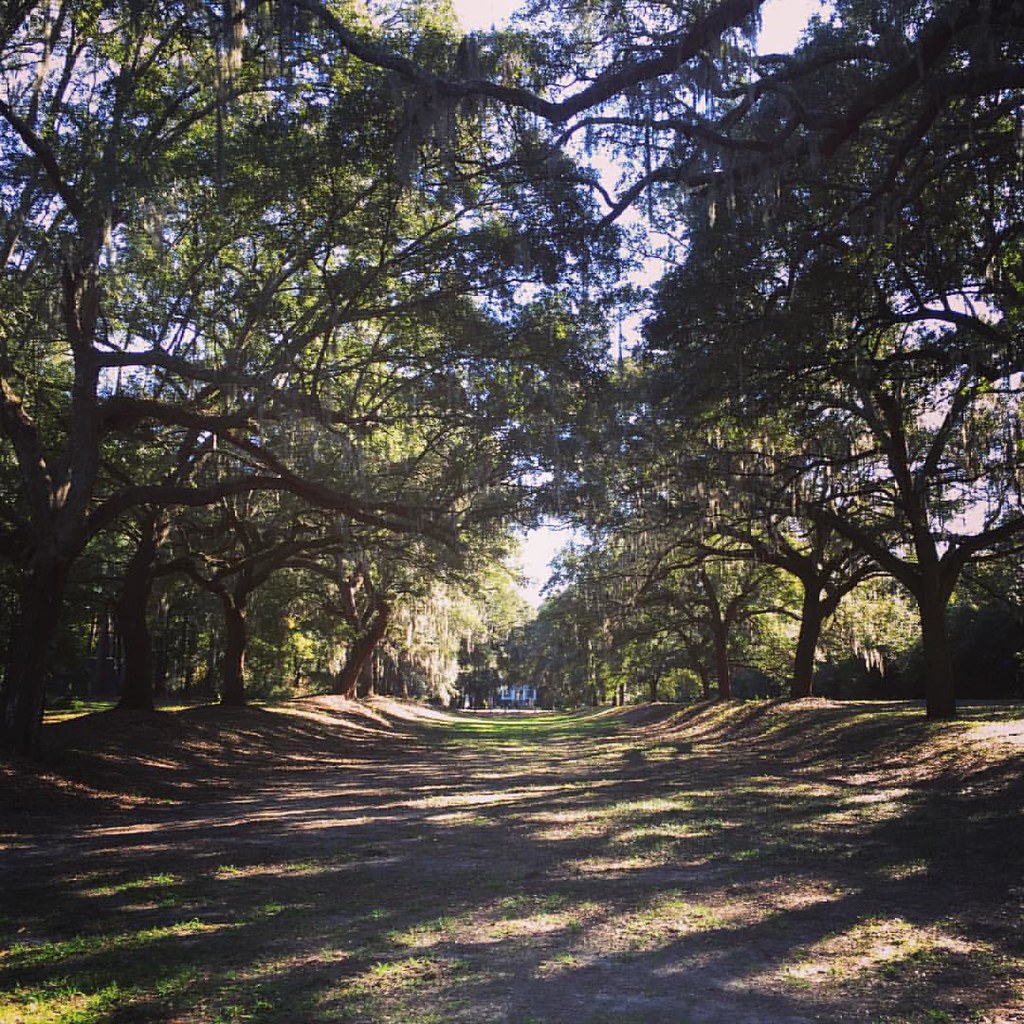 McLeod plantation museum, South Carolina jan Fiegel Flickr