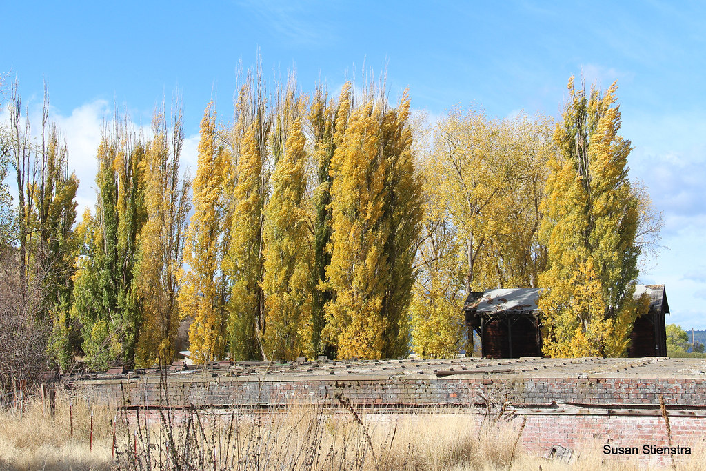 Autumn Color at Algoma Site of the Algoma Lumber Company i… Flickr