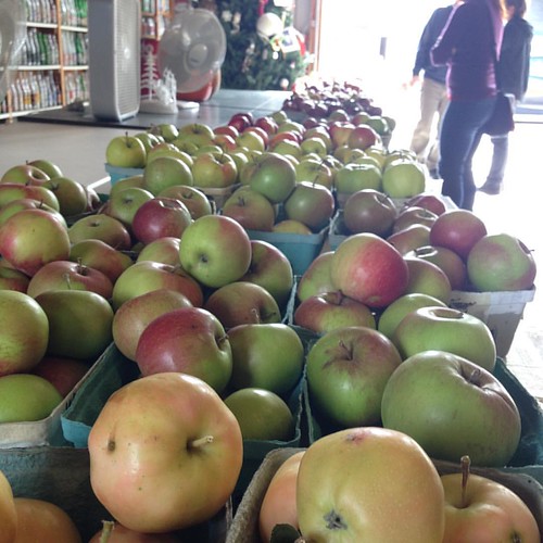 Antique apples at Kilcherman Christmas Cove Apple Farm mi… Flickr