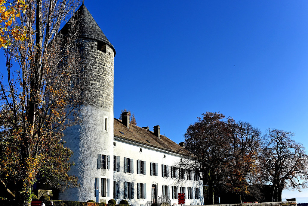 Château de La Tour de Peilz Construit au XIIIe siècle par … Flickr