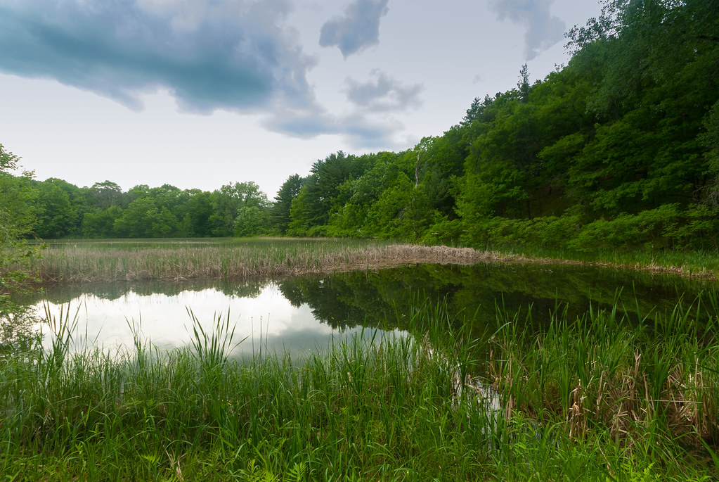 Skunk Lake Skunk & Foster Lakes Wisconsin State Natural Ar… Flickr