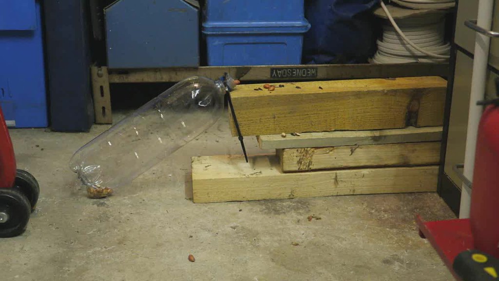 Mouse Fun 3 My humane trap doesn't seem to work. geordiepix Flickr