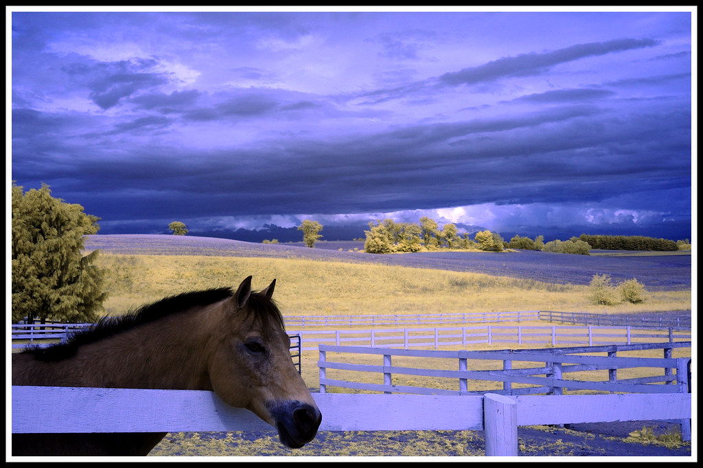 Four Quarters Farm © This Photo is Copyrighted. Not to be … Flickr