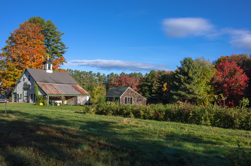 Alder Brook Farm Kennebunk, ME Bud Flickr
