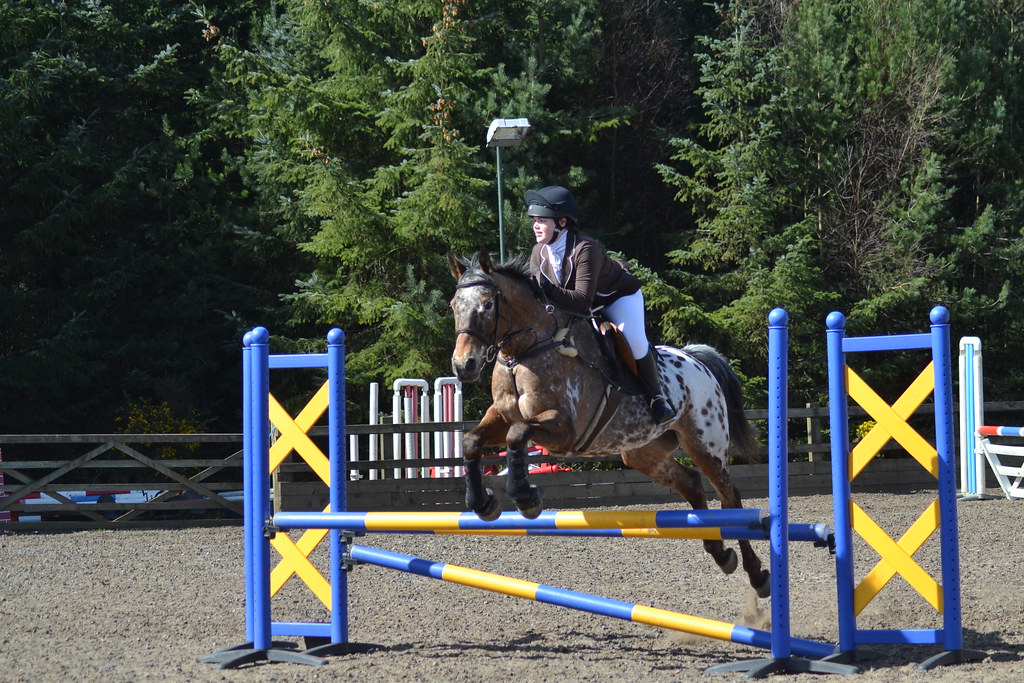 High Plains Equestrian Centre MIKE H Flickr