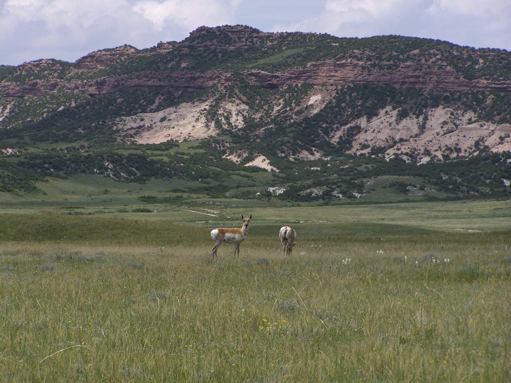 Soapstone Ridge Natural Area Footwarrior Flickr