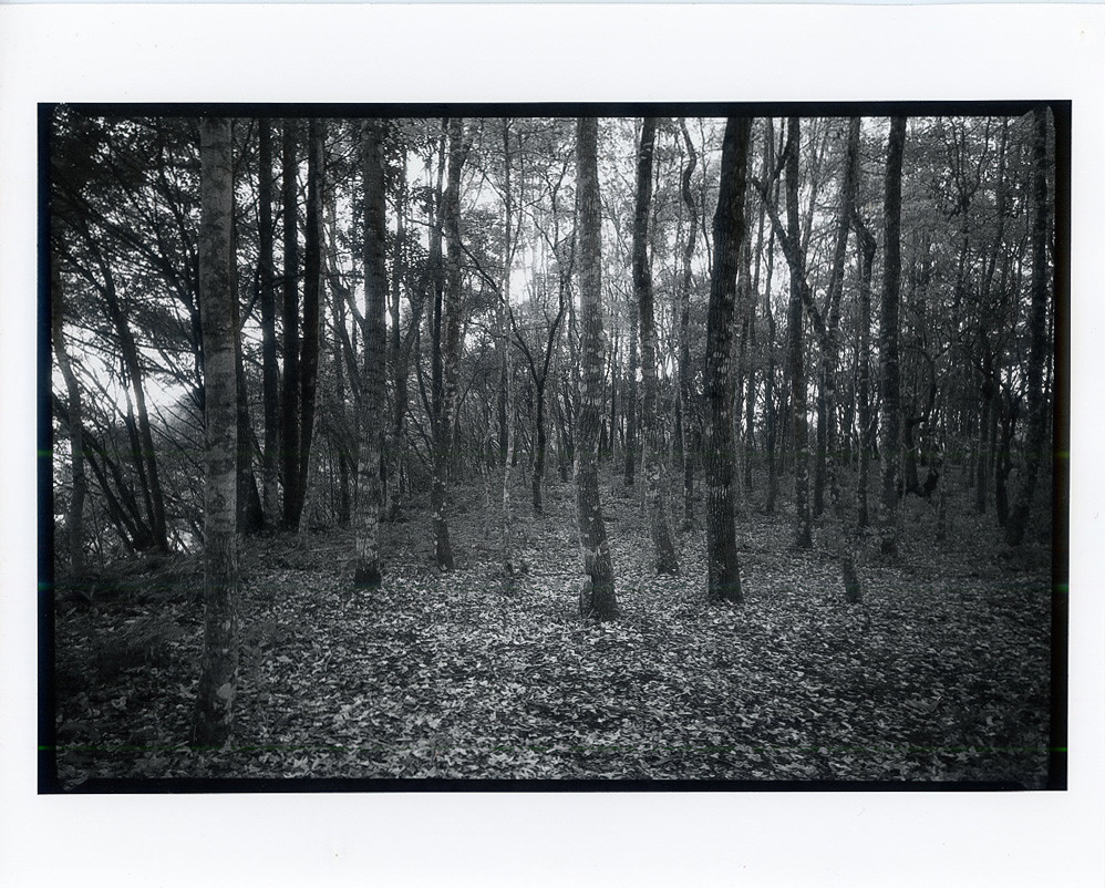 Film Ilford SFX 200 Developer HC110 (1+31) 6min. Enlarg… Flickr