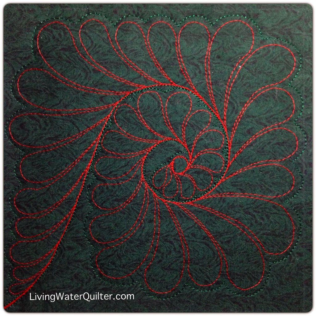 Curled feather Geraldine Wilkins Flickr