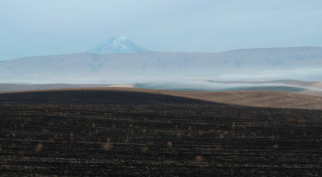 ColumbiaDawn Mt. Adams from south of The Dalles Don Alan Hall Flickr