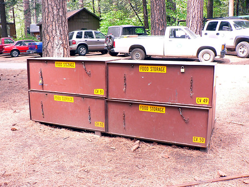 Antibear Food Storage Lockers, Yosemite Snuva Flickr