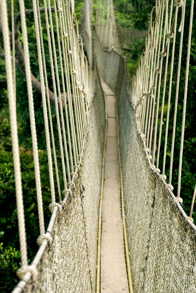 Kakum Rope Bridge There are seven of these rope bridges at… Flickr