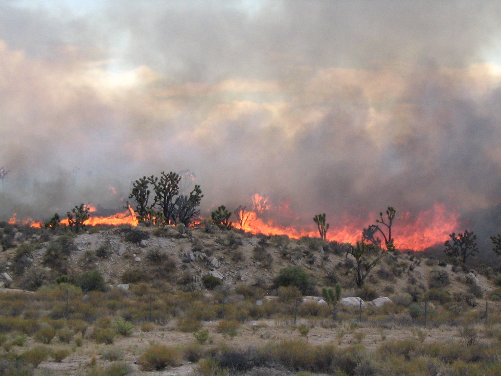 Brush Fire Along I15 Angelie actually snapped this shot a… Flickr