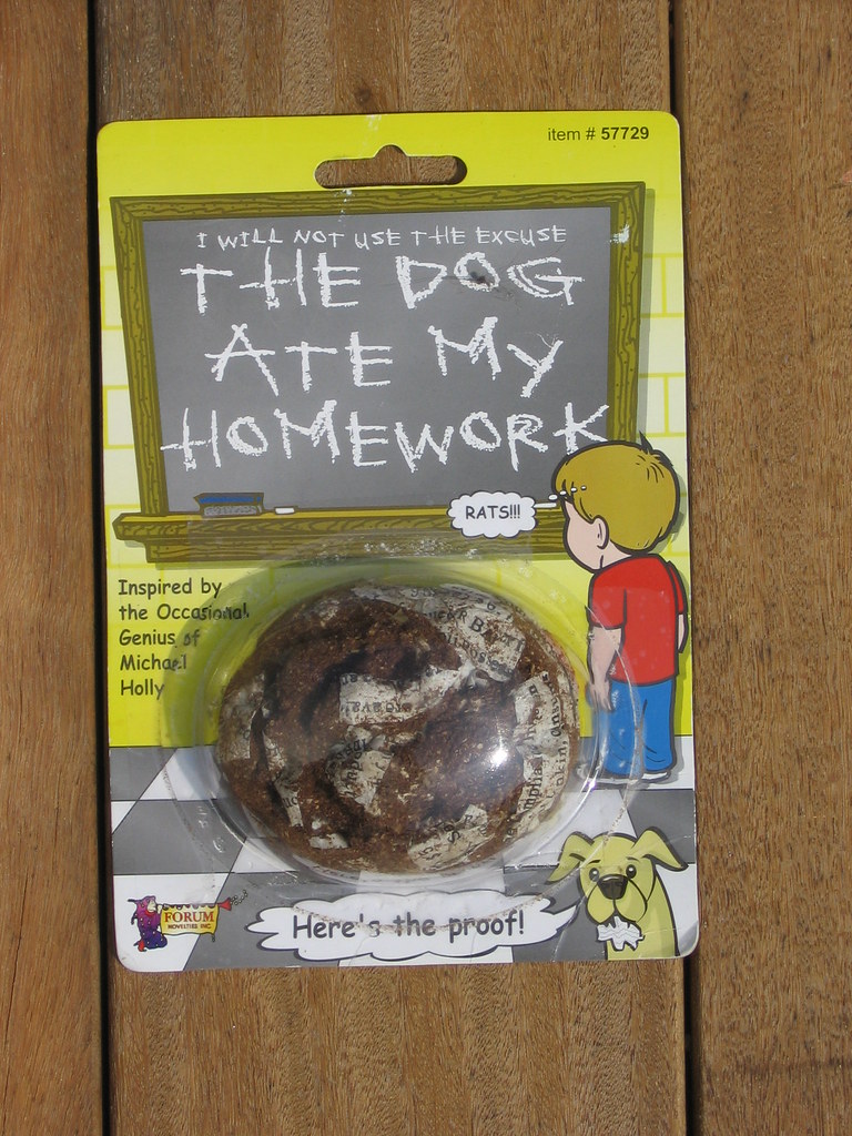 What to Do if Your Dog Ate Doritos Symptoms, Treatment, and Prevention