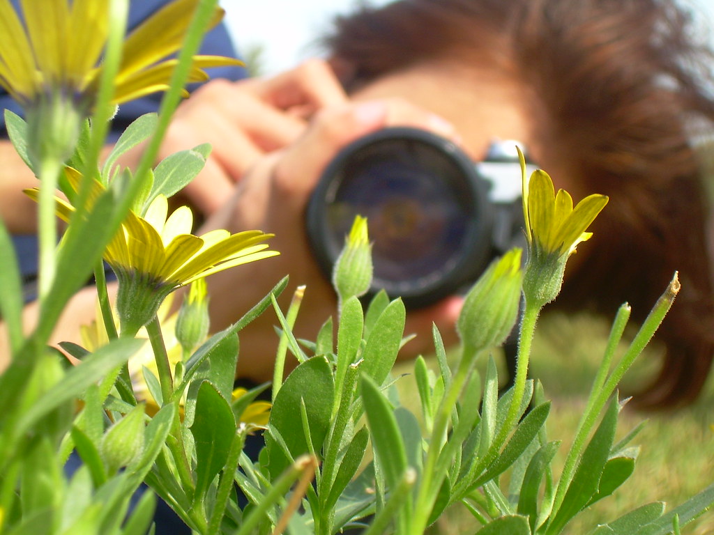 Reverse Echo Park Flowers A friend of mine, Manuel, takein… Flickr