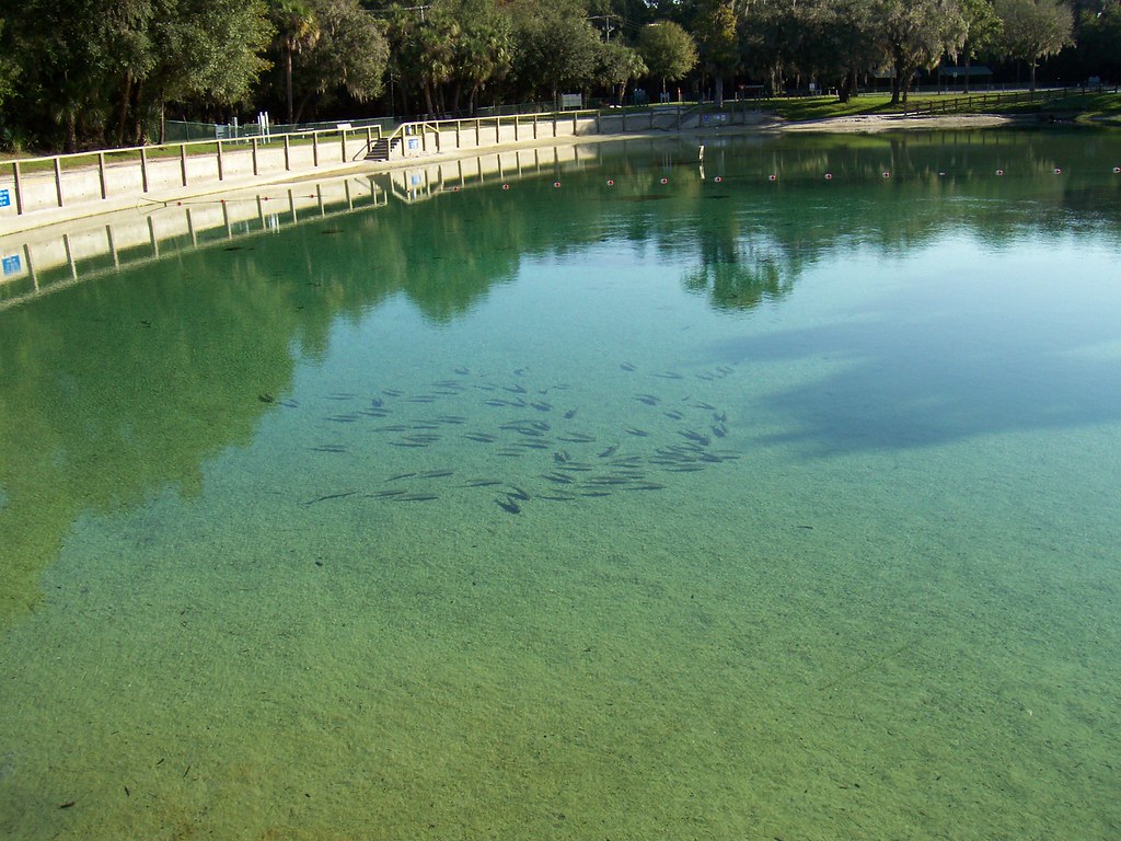 LITHIA SPRINGS Taken at lithia springs park lithia, florid… Flickr