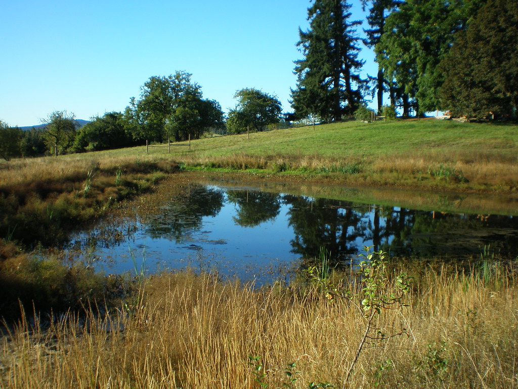 Finley Pond WRP Site BENTON COUNTY, Ore. USDA's Natural… Flickr