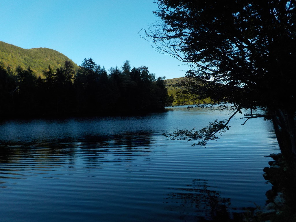 keene swap meet 2015 085 Cindi Flickr