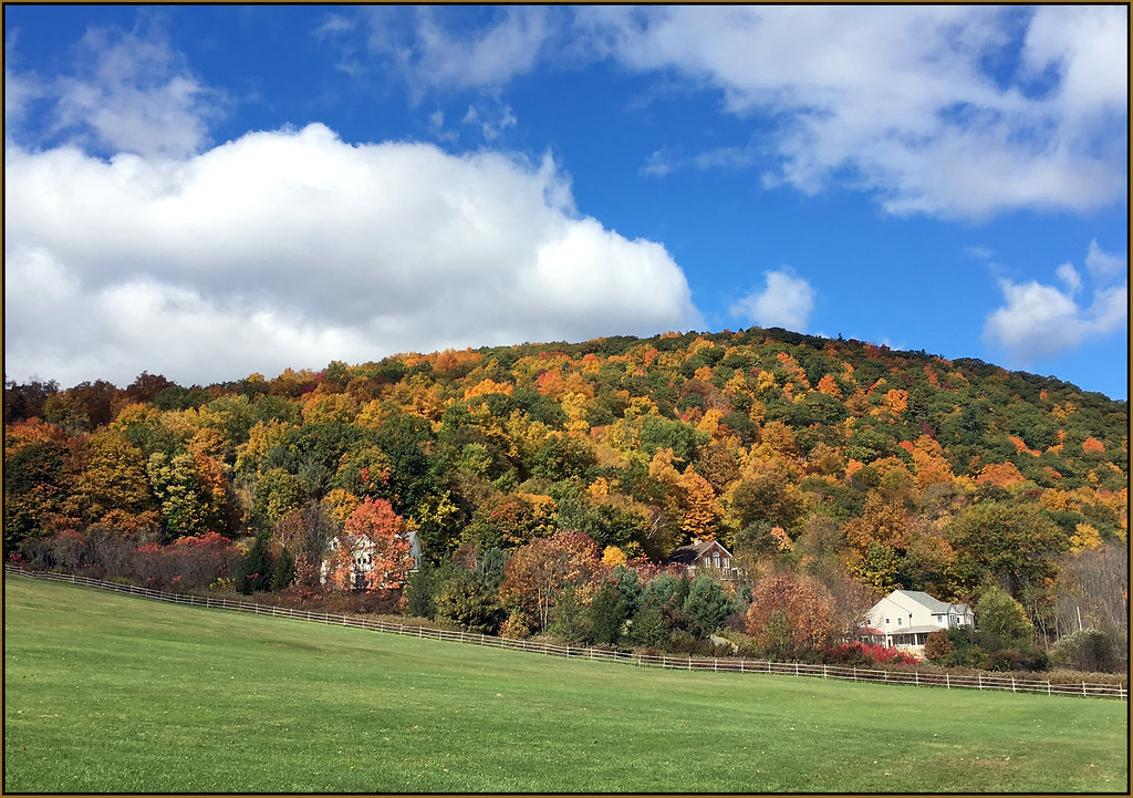 Elevation of Burke Ave, Pittsfield, MA, USA Topographic Map