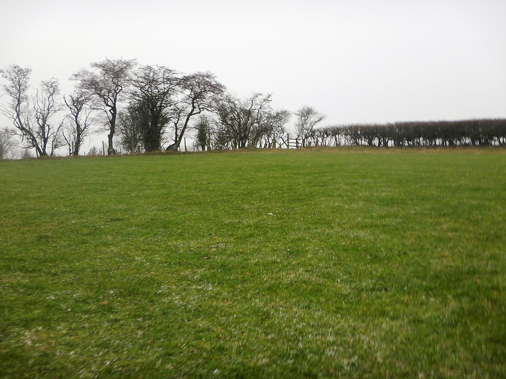 17051 Broome Hill Parked to the SW then ambled across the … Flickr